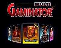 Игровые автоматы gaminator торhент карты солнышко играть онлайн бесплатно